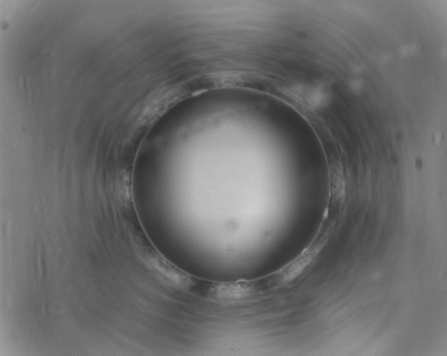 X0000074330766200609082032