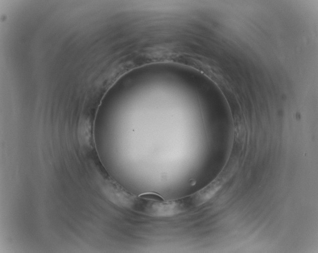 X0000074330767200609082032