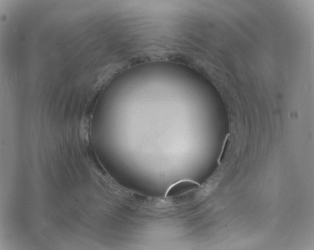 X0000074330768200609082032