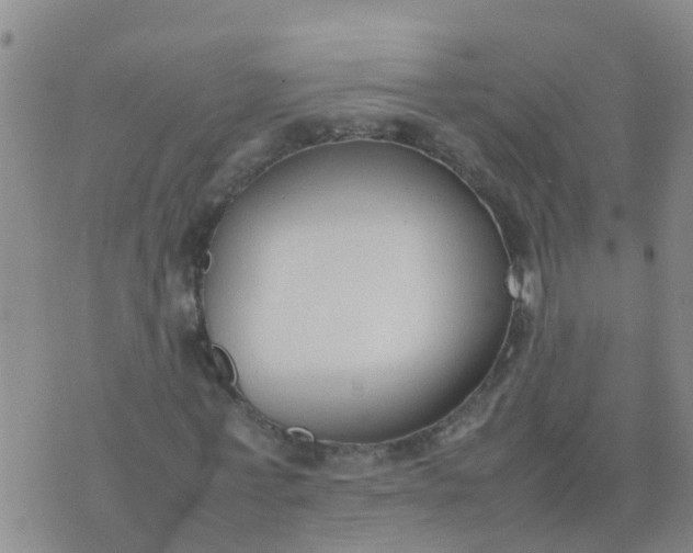 X0000074330771200609082031