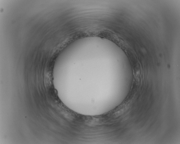 X0000074330772200609082031