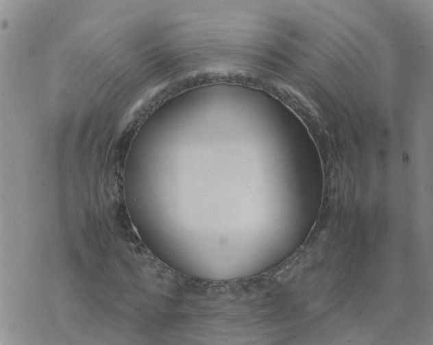 X0000074330776200609082031