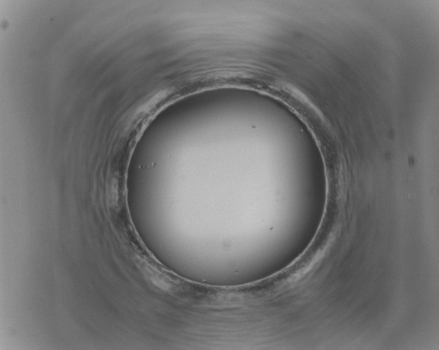 X0000074330777200609082031