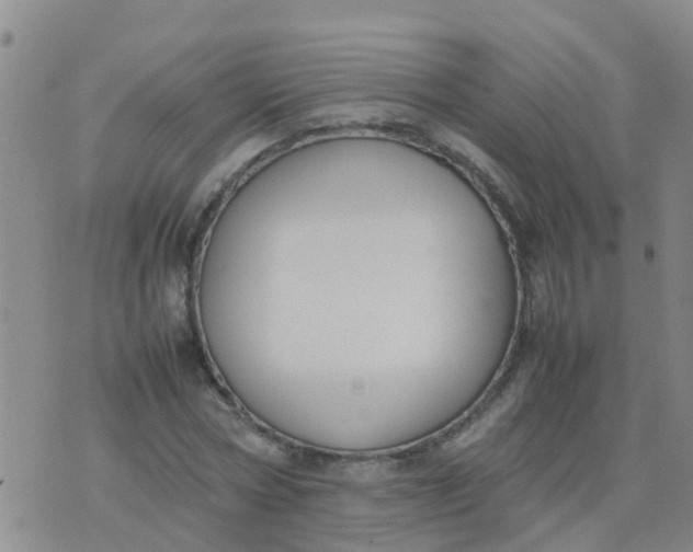 X0000074330778200609082031