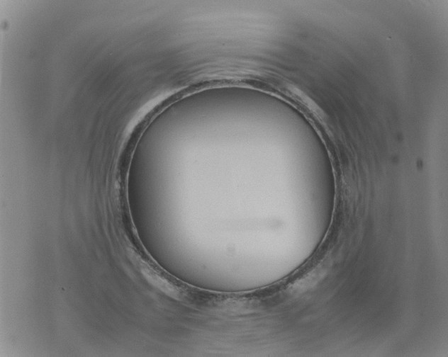 X0000074330779200609082031