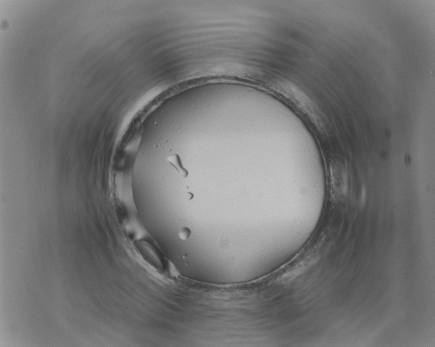 X0000074330780200609082031