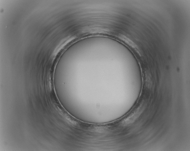 X0000074330782200609082031