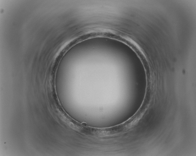 X0000074330783200609082031