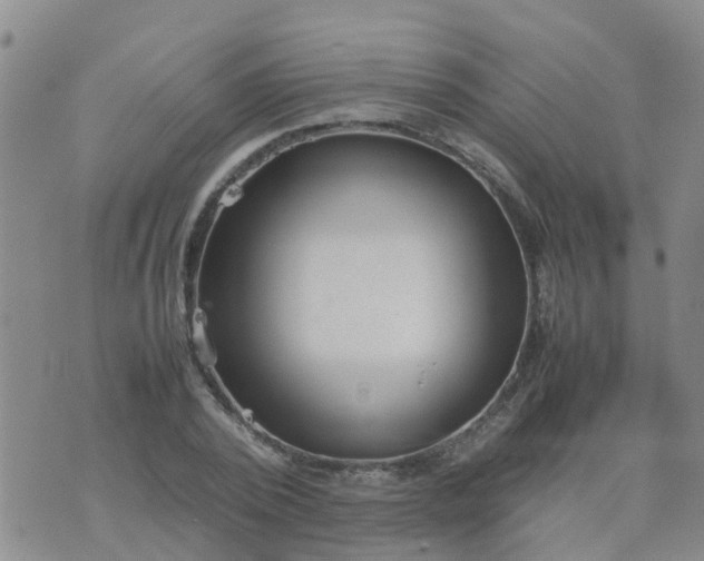 X0000074330784200609082031