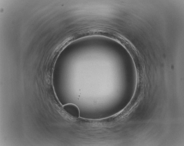 X0000074330785200609082031