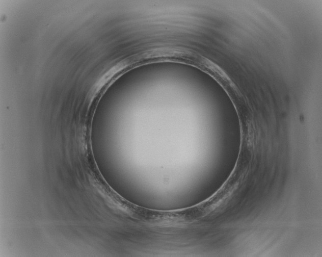 X0000074330786200609082031