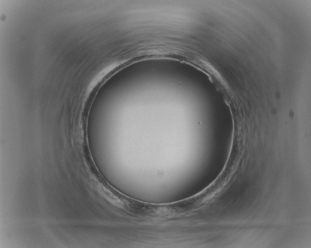 X0000074330787200609082031