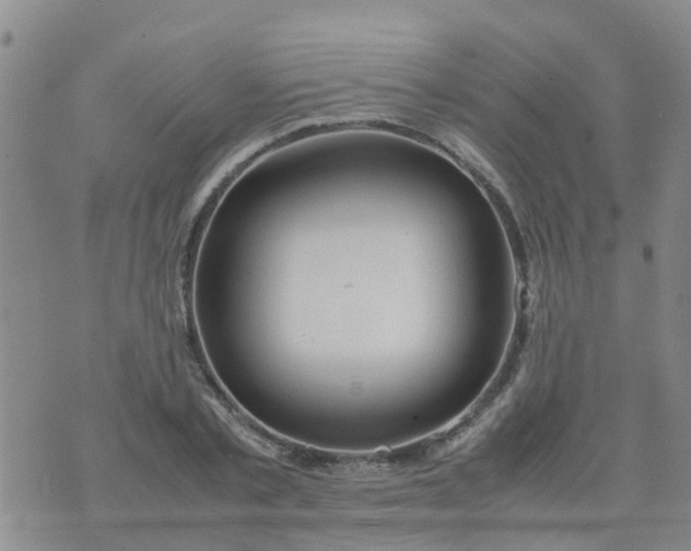 X0000074330789200609082031