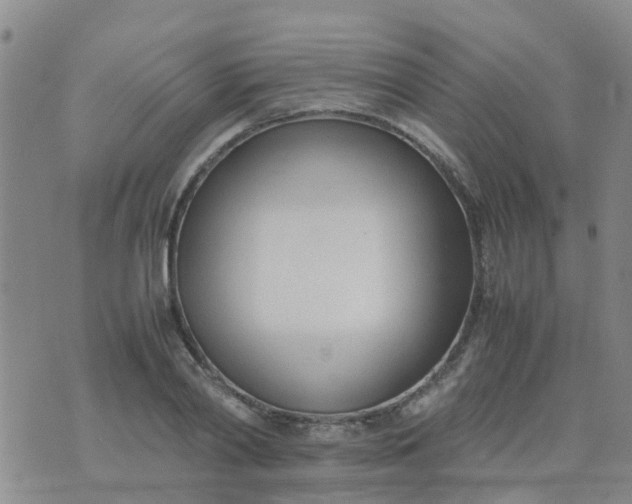 X0000074330790200609082031