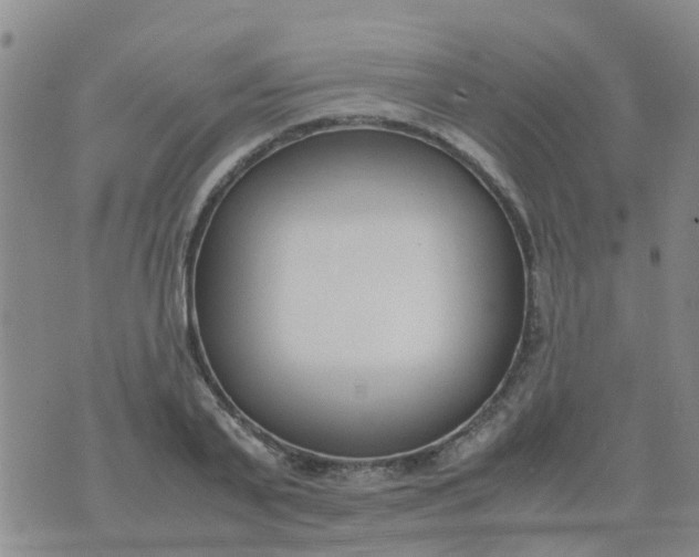 X0000074330791200609082031