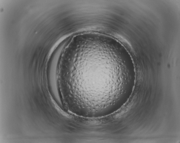 X0000074330792200609082031