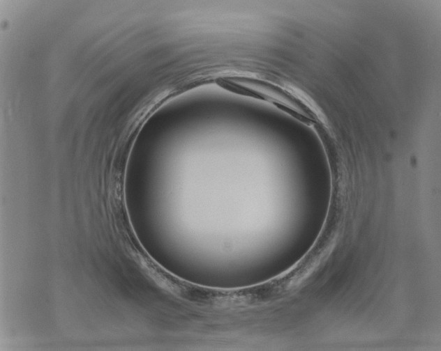 X0000074330793200609082031