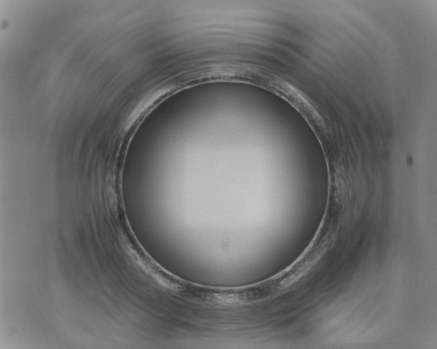 X0000074330794200609082031