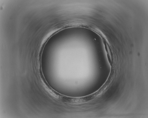 X0000074330795200609082031