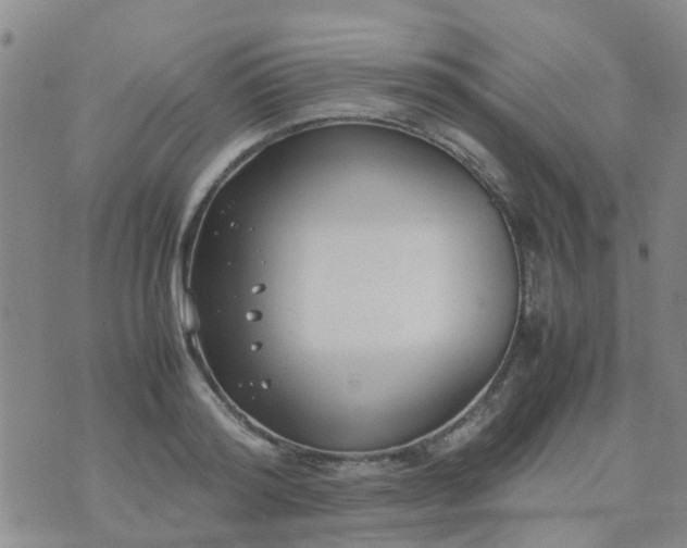 X0000074330796200609082031