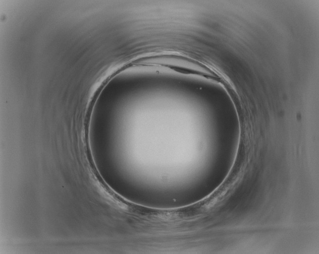 X0000074330797200609082031