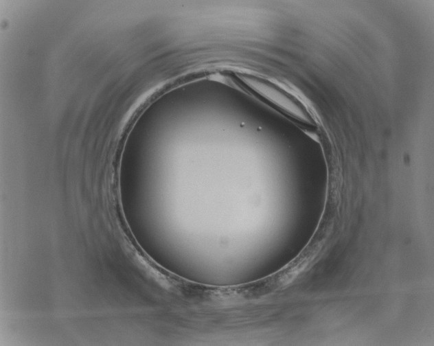 X0000074330799200609082031