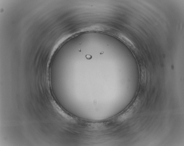 X0000074330800200609082031