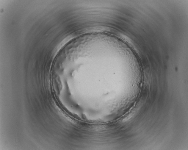 X0000074330802200609082031