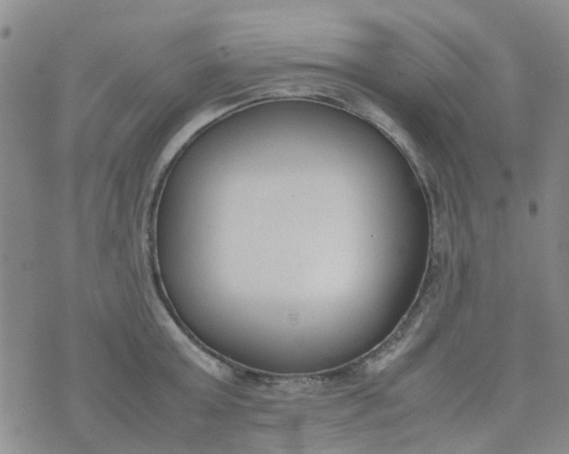 X0000074330803200609082031