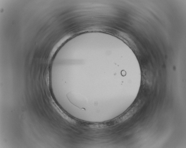 X0000074330804200609082031