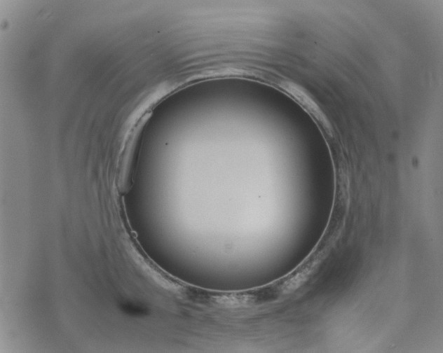 X0000074330805200609082031