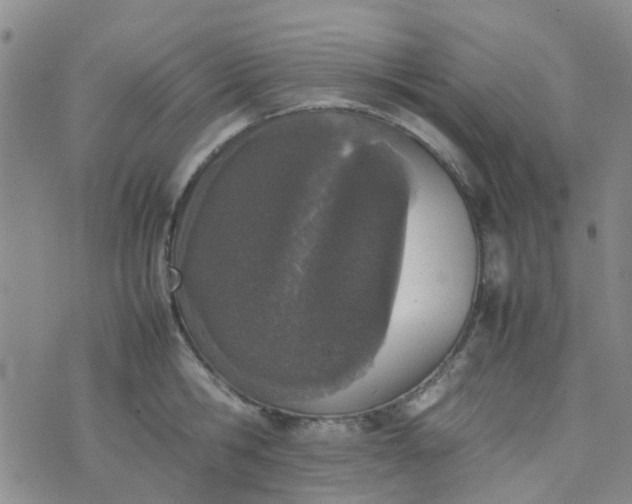 X0000074330806200609082031