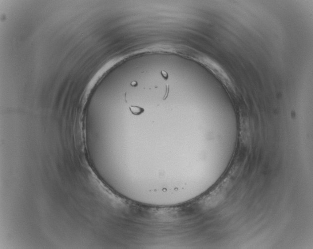 X0000074330808200609082031