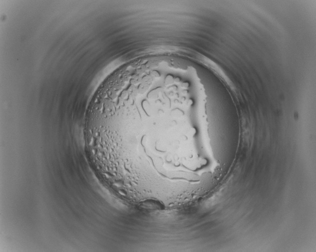 X0000074330810200609082031