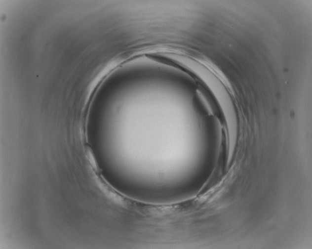 X0000074330813200609082030