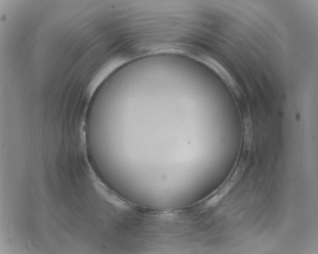 X0000074330814200609082030