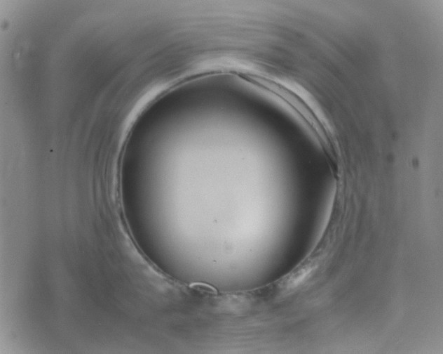 X0000074330815200609082030