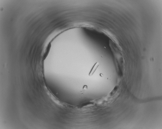 X0000074330816200609082030