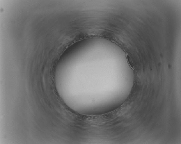 X0000074330817200609082030