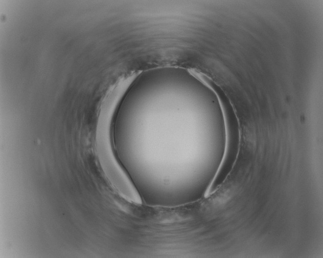 X0000074330818200609082030