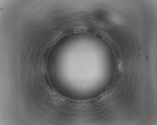 X0000074330819200609082030