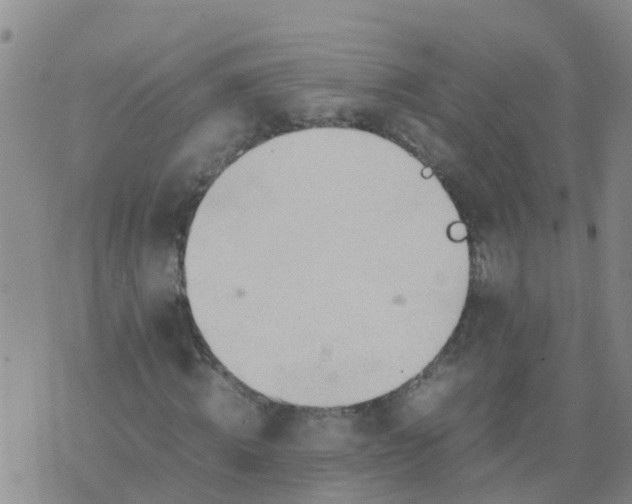 X0000074330820200609082030