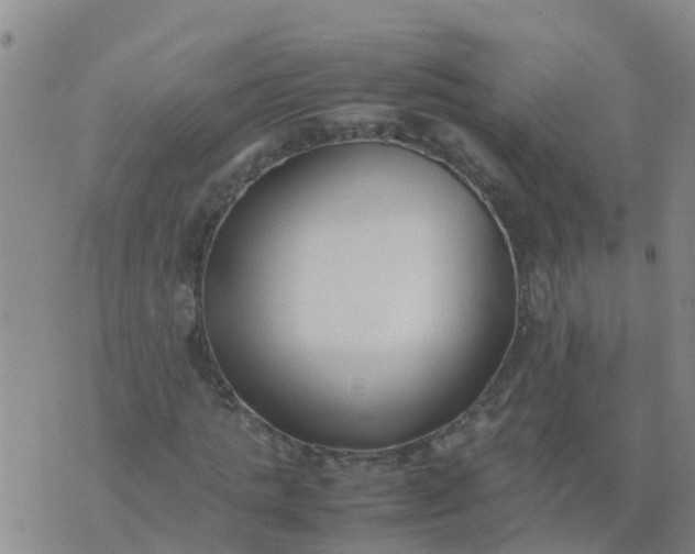 X0000074330821200609082030