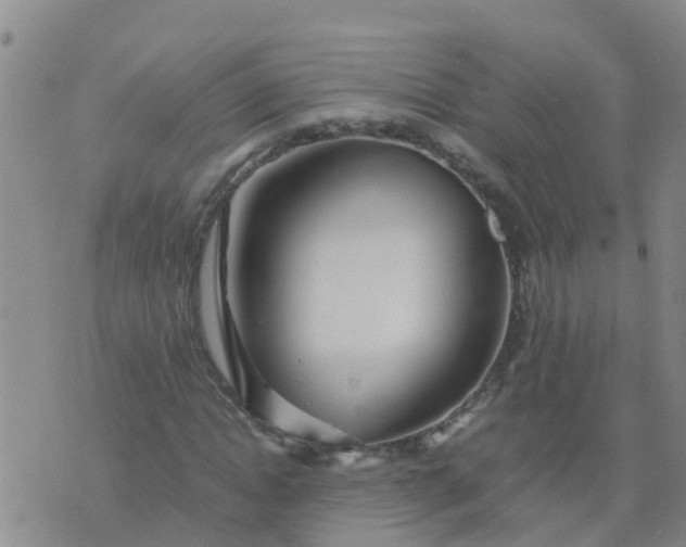 X0000074330822200609082030