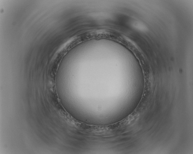 X0000074330823200609082030