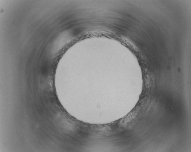 X0000074330824200609082030