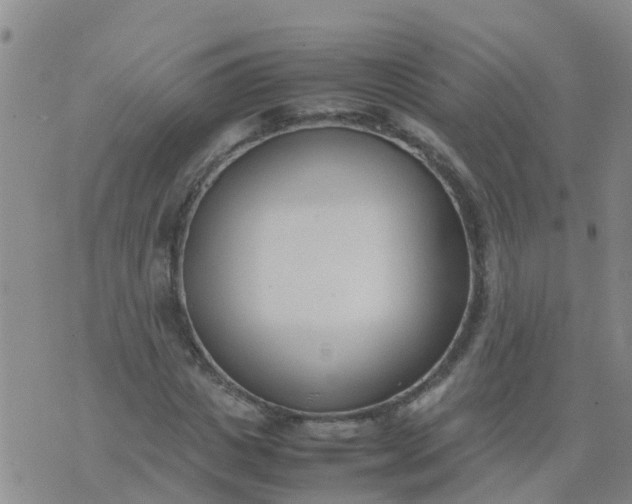 X0000074330825200609082030