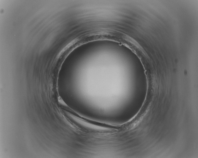 X0000074330826200609082030