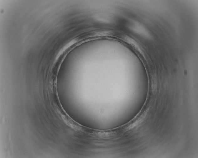 X0000074330827200609082030