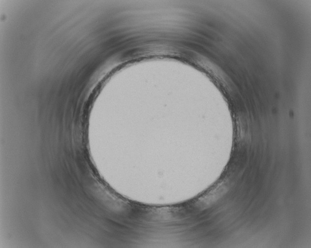 X0000074330828200609082030